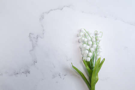 Suzuran, lily of the valley, lily of the valley flower. White Background With Copy Space.の写真素材
