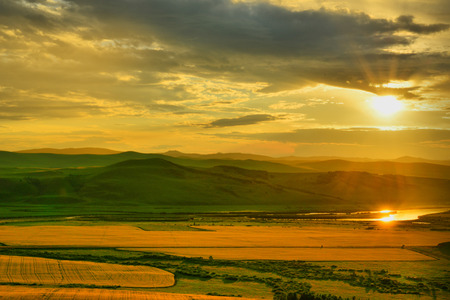 Fertile horizon, canola flowerの写真素材