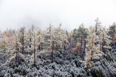 Da Hinggan Mountains in Autumnの写真素材