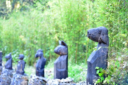 Zodiac-dogの写真素材