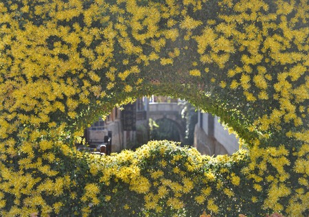Ancient town of Lijiang, Yunnanの写真素材