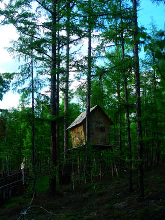 Tree warehouse "Lao Po"のeditorial素材