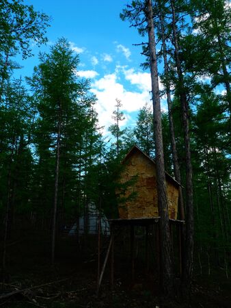 Warehouse on treeのeditorial素材