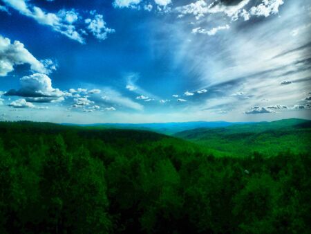 Forest landscapeの写真素材