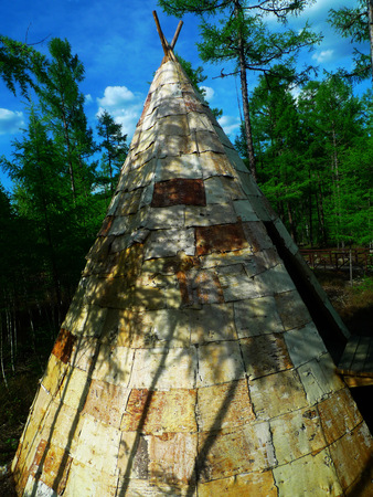 Tent made out of tree skin