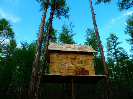 Forest landscape viewのeditorial素材