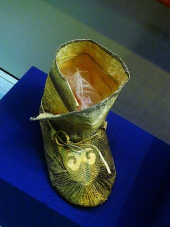 fish skin shoeのeditorial素材