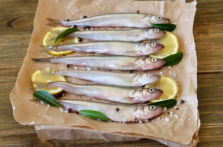 Fresh fish with spices on paperの写真素材