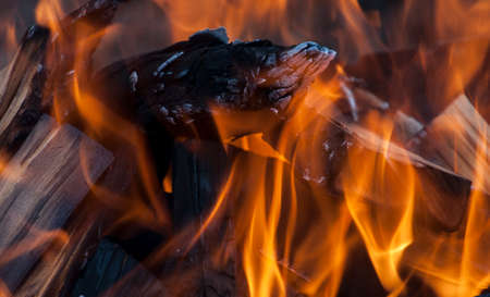logs burning down in a bright fire