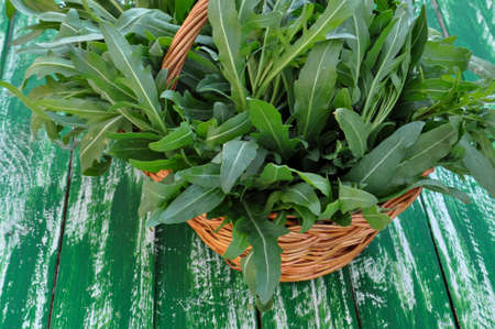 Macro arugula in a wicker basket on an old wooden tableの写真素材