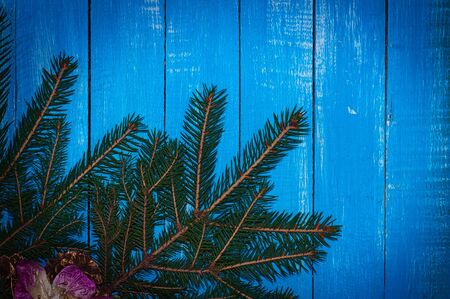 Blue wooden festive background with spruce branch in the corner, the empty spaceの写真素材