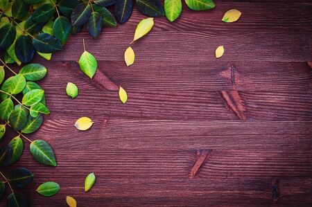 Wooden background with autumn leaves, empty spaceの写真素材