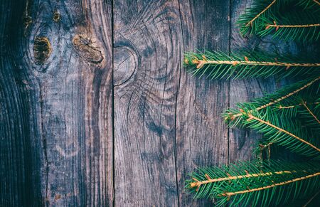 branch of spruce on a gray wooden surface with cracks and knots, empty space, vintage toningの写真素材
