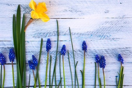 Abstract wooden background with various white flowers, spring backgroundの写真素材