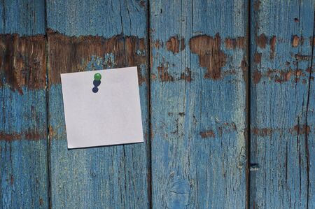 pure white small leaf on a blue wooden wall, empty space on the rightの写真素材