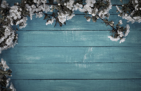 Branches of blossoming white cherry on a blue wooden surface, vintage toning, empty space in the...