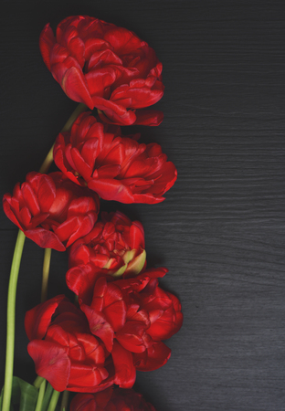 bouquet of red tulips on a black surface, free space on the right, vintage toningの写真素材