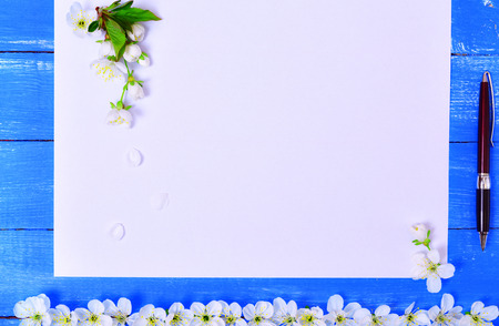 White blank sheet with a writing pen on a blue wooden surface, decoration with white cherry flowers, top viewの写真素材
