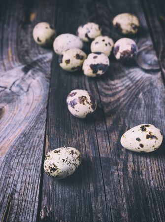 Fresh quail eggs on a gray wooden surface, close up, vintage toningの写真素材