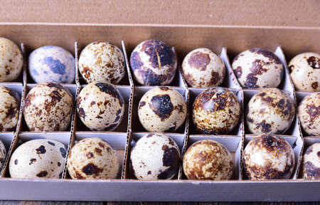 Quail eggs in a paper box with cells, top viewの写真素材