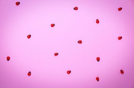 Decorative wooden ladybugs on a pink surface, vignettingの写真素材