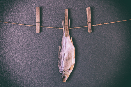 Dried fish hanging on the rope, black backgroundの写真素材