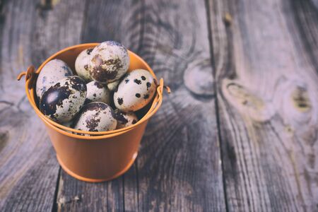 Fresh quail eggs in an iron orange bucket, empty space on the rightの写真素材