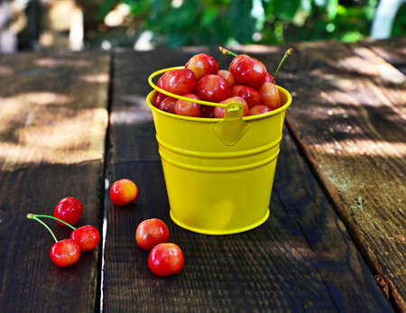 Ripe pink cherry in a metal yellow bucket on a wooden tableの写真素材