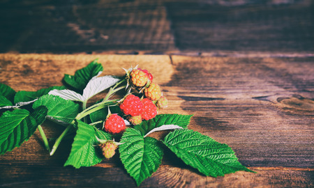 Green branch with raspberry berries on a wooden background, vintage toning