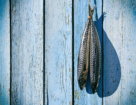 Two fresh mackerel hanging on a rope, blue wooden background, empty space on the leftの写真素材