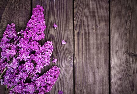 Branch of a purple lilac on a brown wooden background, empty space on the rightの写真素材