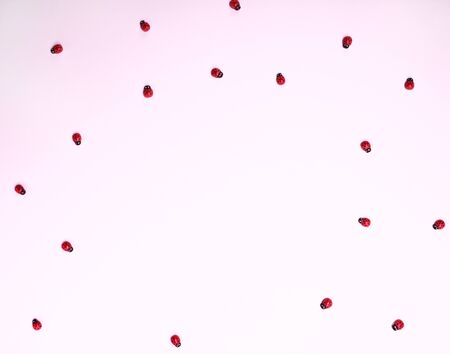 Red ladybugs on a pink background, empty space