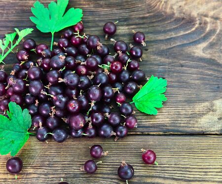 bunch of fresh black currant on a brown wooden table, top view