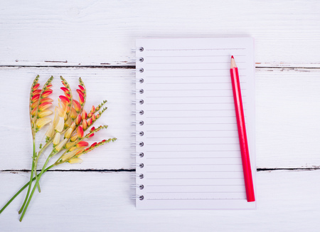 empty notebook in a line and a red pencil on a white wooden table, top view