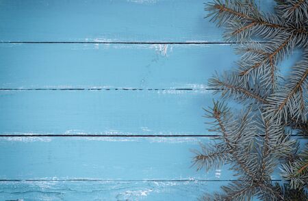 blue wooden background of parallel boards and a green spruce branch, empty space on the leftの写真素材