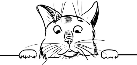muzzle of a funny cat peeking out from under the table, cartoon styleのイラスト素材