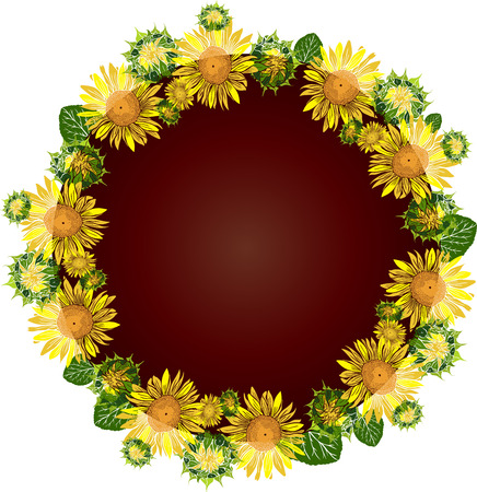 round wreath of yellow blossoming sunflowers, inside empty space, flowers are isolated on white backgroundのイラスト素材