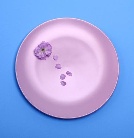 empty pink ceramic dish on a blue background, top viewの写真素材