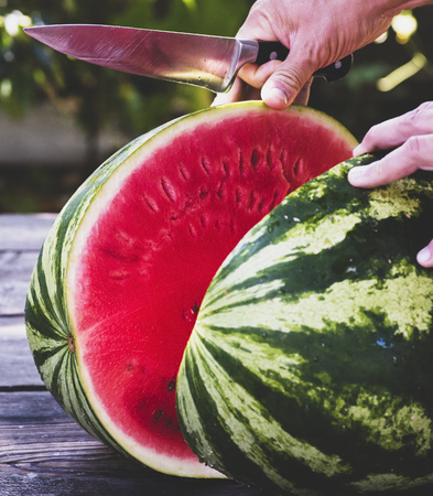 human hand with a knife cuts in half a ripe large watermelon, vintage toningの写真素材