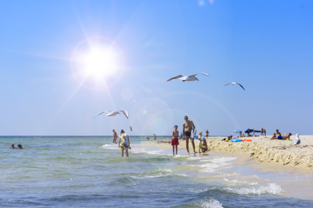 flying seagulls on the background of the sea and a resting family with children on the Black Sea coast, Ukraine village of Lazurne, summer dayの写真素材