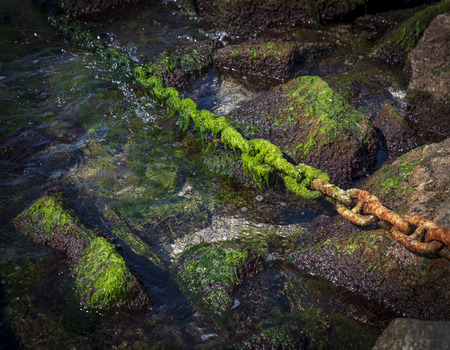 rusty chain overgrown with green alga sticks out of the sea in the middle of stones
