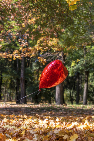 red balloon flies in the autumn park against the background of fallen yellow foliage and treesの写真素材