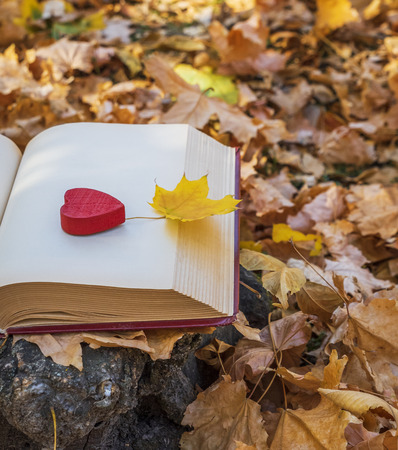yellow maple leaf lies on the open page of the book, near a red wooden heart, top viewの写真素材