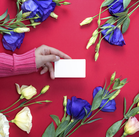 female hand in pink sweater holding a blank white paper business card on a red background with flowers Eustoma Lisianthusの写真素材