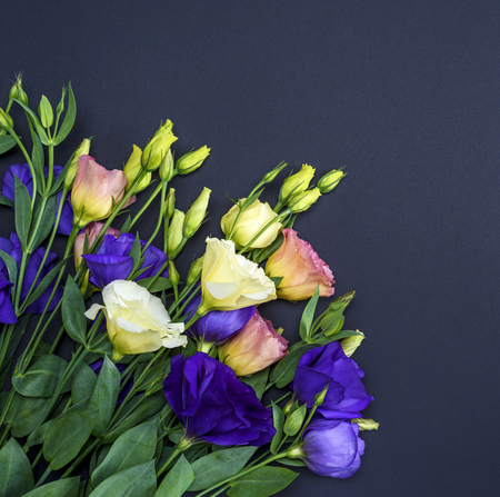 fresh blooming flowers Eustoma Lisianthus on black paper background, top view, copy spaceの写真素材