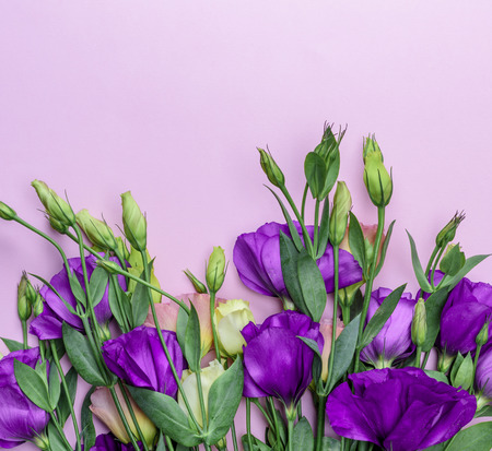 fresh blooming flowers Eustoma Lisianthus on pink paper background, close upの写真素材