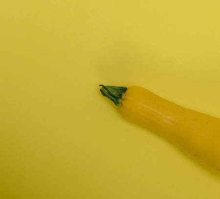 ripe yellow zucchini on a yellow background, close up, copy spaceの写真素材