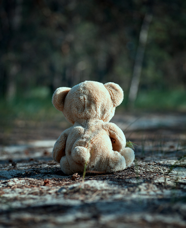 brown teddy bear sits back in the middle of a sandy road in the forest,  concept of loneliness and forgettingの写真素材