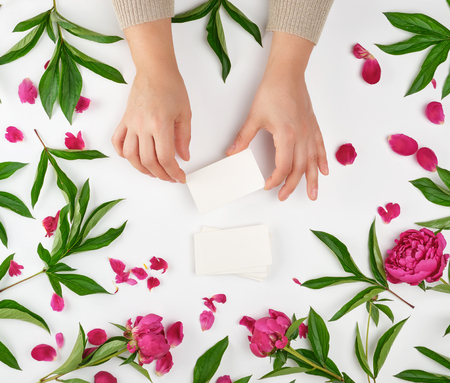 Two female hands holding empty white paper cards and burgundy flowering peonies with green leaves, top view, concept of anti-aging procedures for rejuvenating the skin of handsの写真素材