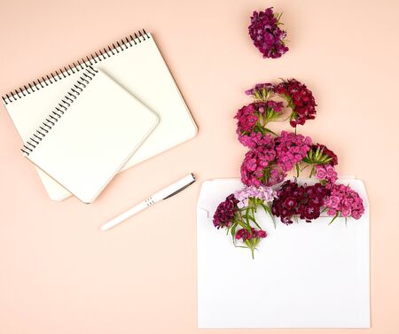 open notebook with blank sheets and Turkish carnation Dianthus barbatus flower buds and a white...
